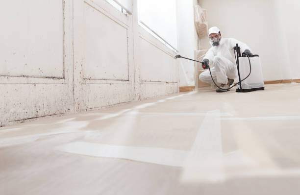 24/7 Emergency Mold Testing experts in Henderson, KY