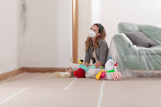 Reliable Mold Testing contractor in Henderson, KY by WQB Mold Removal